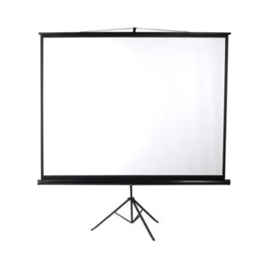 Hal Projection screen 100" with stand.