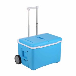 Blackline Portable Refrigerator